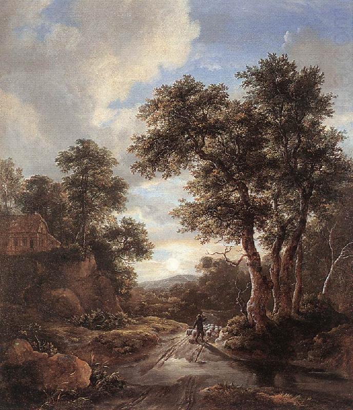 Sunrise in a Wood, Jacob van Ruisdael